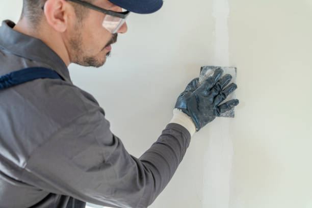 Best Mold Damage Restoration  in College Place, WA