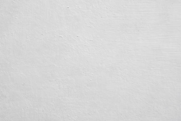 Best Mold Remediation for Rental Properties  in College Place, WA