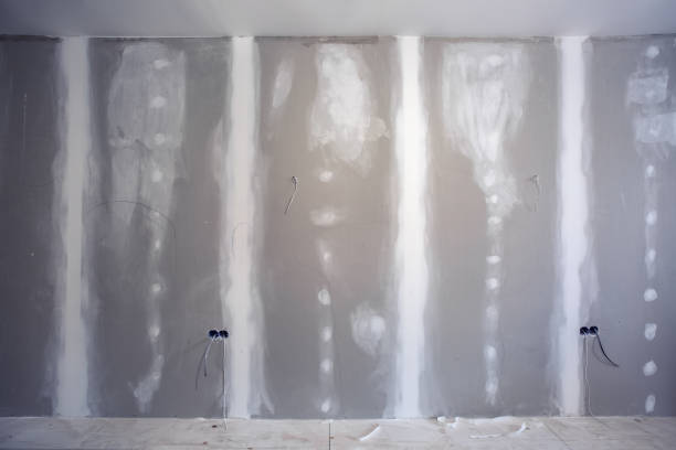 Mold Remediation for Vacation Homes in College Place, WA